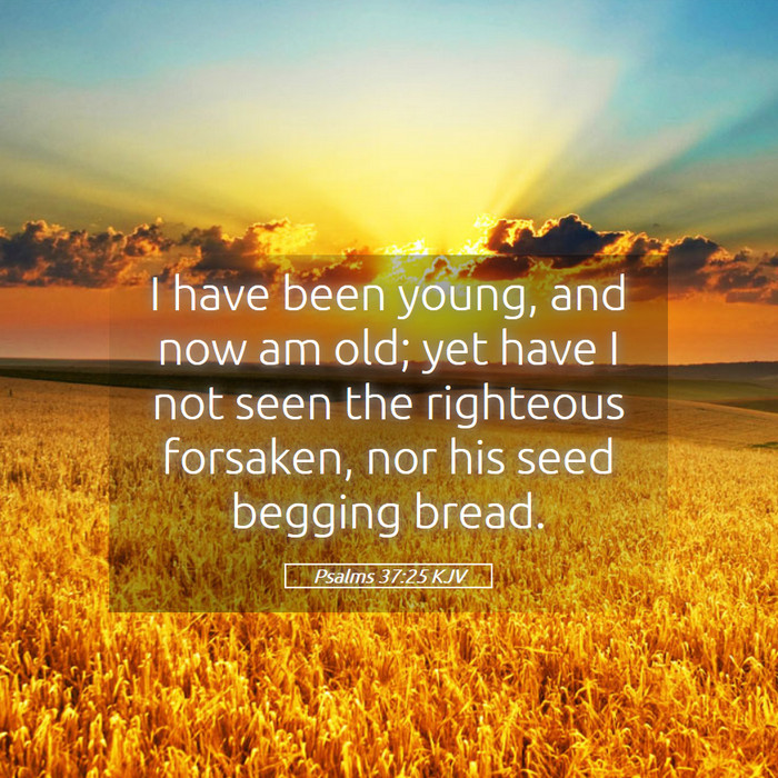 I have been young and now am old nkjv