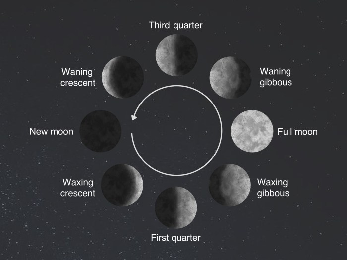 Part of a lunar cycle crossword clue