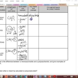 Biomolecules video handout answer key