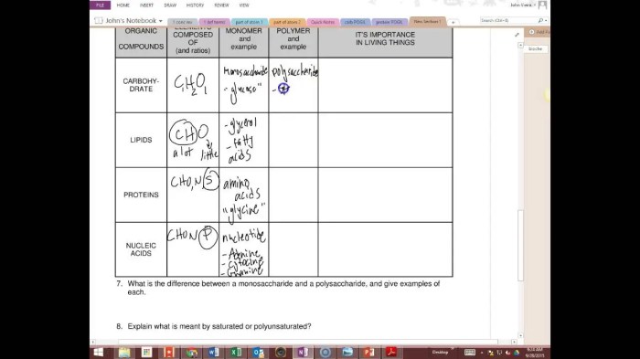 Biomolecules video handout answer key