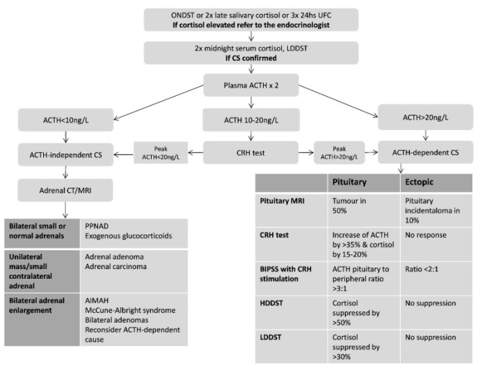 Addison's vs cushing's disease chart