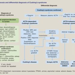 Addison's vs cushing's disease chart