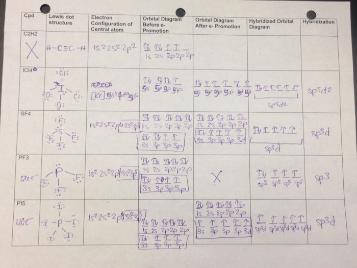 Answer key molecular models lab answers