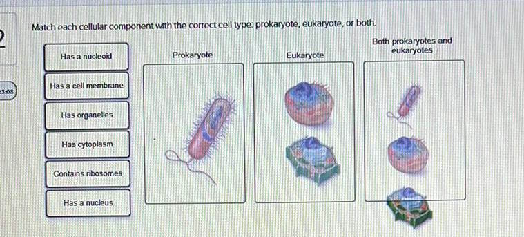 Membrane solved component appropriate cellular dragging match box each wor exit check save transcribed problem text been show has