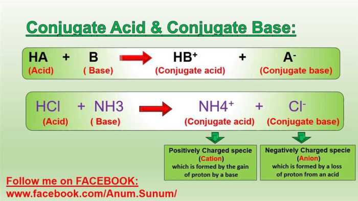 Conjugate acid base pairs worksheet with answers