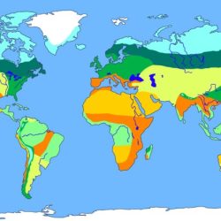 Biomes rainforest biome latitude terrestrial latitudes temperate tundra desert equator savanna grasslands equatorial forests boreal ecosystem tropic affect altitude describe