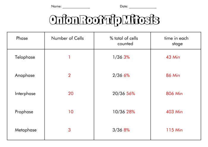 Online onion root tip mitosis lab answer key