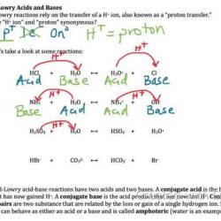 Conjugate acid base pairs worksheet with answers